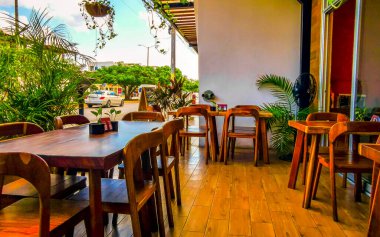 Playa del Carmen Quintana Roo Mexico 'da masa sandalyeleri dekorasyon masası ve bitkilerle dolu bir restoran barının içinde..