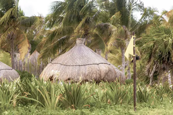 stock image Palm tree Palapa roof tables and hats on the beach for visitors in Playa del Carmen Quintana Roo Mexico.