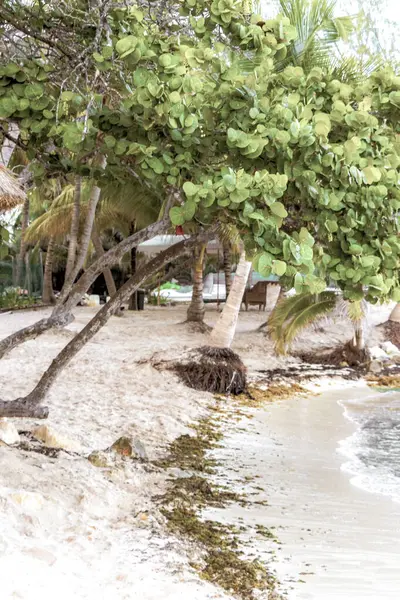 stock image Tropical mexican caribbean beach and sea with people sun loungers parasols resort turquoise water and waves in Playa del Carmen Quintana Roo Mexico.