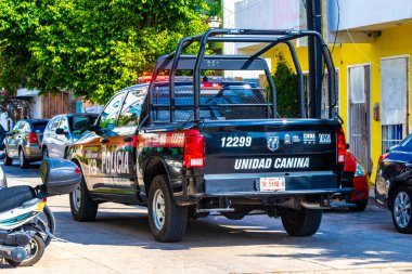 Playa del Carmen Quintana Roo Meksika 05. Ağustos 2023 Meksika polis aracı Playa del Carmen Quintana Roo Mexico 'da kamyon ve polis operasyonu aldı..