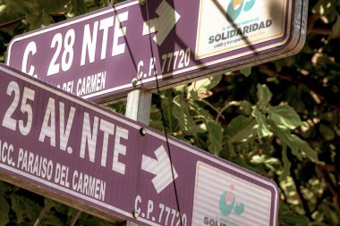 Playa del Carmen Quintana Roo Mexico 22. September 2022 Blue and white road street signs and name for orientation of streets and roads in Playa del Carmen Quintana Roo Mexico. clipart