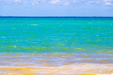 Playa del Carmen Quintana Roo Meksika 06. Temmuz 2024 Tropik Meksika Karayip plajı ve denizi Playa del Carmen Meksika 'daki turkuaz mavi sularda insanları güneşlendiriyor ve eğlendiriyor..