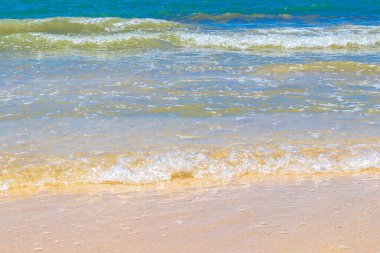 Berrak turkuvaz mavi su ve Playa del Carmen Meksika 'da büyük dalgalar ile çarpıcı tropik Meksika Karayip plajı ve deniz manzarası manzarası.