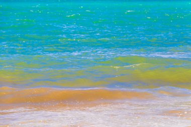 Playa del Carmen Meksika 'da turkuaz mavi su dalgaları ve beyaz kumla inanılmaz tropik Meksika Karayip plajı ve deniz manzarası manzarası..