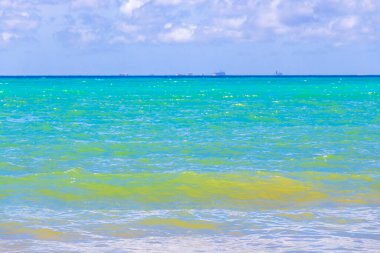 Playa del Carmen Quintana Roo Meksika 'daki berrak turkuaz mavi sularıyla Cozumel adasının muhteşem tropik Meksika deniz ve sahil manzarası manzarası.