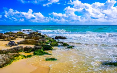 Taşlar, Playacar Playa del Carmen Quintana Roo Meksika 'daki Karayipler sahilinde turkuaz yeşil ve mavi sularda kayalar sallıyor..