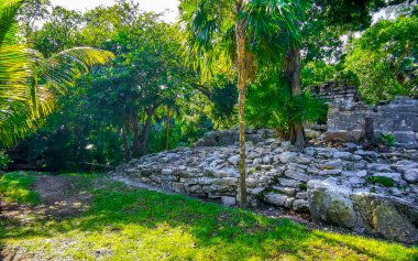 Xaman Ha Maya arkeolojik inşaat tapınakları Playacar Playa del Carmen Quintana Roo 'daki kireçtaşı kaya taşlarından yapılmış binalar..