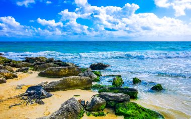 Taşlar, Playacar Playa del Carmen Quintana Roo Meksika 'daki Karayipler sahilinde turkuaz yeşil ve mavi sularda kayalar sallıyor..