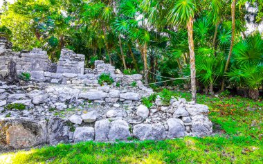 Xaman Ha Maya arkeolojik inşaat tapınakları Playacar Playa del Carmen Quintana Roo 'daki kireçtaşı kaya taşlarından yapılmış binalar..