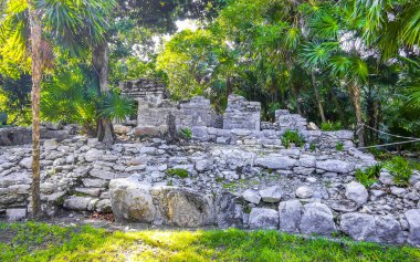Xaman Ha Maya arkeolojik inşaat tapınakları Playacar Playa del Carmen Quintana Roo 'daki kireçtaşı kaya taşlarından yapılmış binalar..