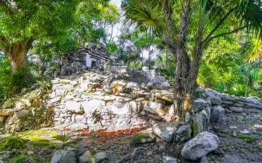 Xaman Ha Maya arkeolojik inşaat tapınakları Playacar Playa del Carmen Quintana Roo 'daki kireçtaşı kaya taşlarından yapılmış binalar..