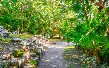 Xaman Ha Maya arkeolojik inşaat tapınakları Playacar Playa del Carmen Quintana Roo 'daki kireçtaşı kaya taşlarından yapılmış binalar..