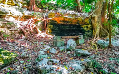 Xaman Ha Maya arkeolojik inşaat tapınakları Playacar Playa del Carmen Quintana Roo 'daki kireçtaşı kaya taşlarından yapılmış binalar..