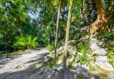 Xaman Ha Maya arkeolojik inşaat tapınakları Playacar Playa del Carmen Quintana Roo 'daki kireçtaşı kaya taşlarından yapılmış binalar..