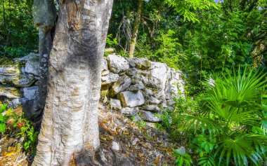 Xaman Ha Maya arkeolojik inşaat tapınakları Playacar Playa del Carmen Quintana Roo 'daki kireçtaşı kaya taşlarından yapılmış binalar..