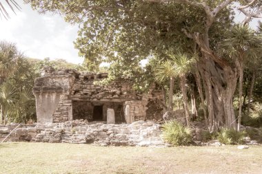Xaman Ha Maya arkeolojik inşaat tapınakları Playacar Playa del Carmen Quintana Roo 'daki kireçtaşı kaya taşlarından yapılmış binalar..
