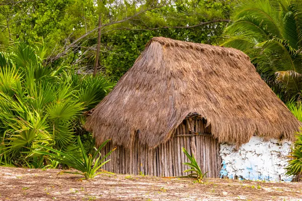 Playa del Carmen Quintana Roo Meksika 'daki Karayipler sahilinde palmiye ağaçları olan tropikal ormandaki ahşap kulübeler..