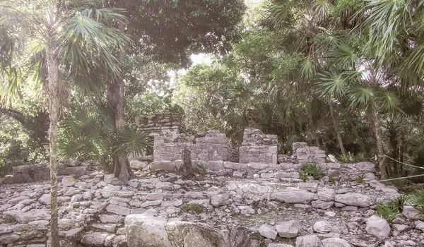 Xaman Ha Maya arkeolojik inşaat tapınakları Playacar Playa del Carmen Quintana Roo 'daki kireçtaşı kaya taşlarından yapılmış binalar..