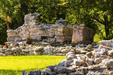 Xaman Ha Maya arkeolojik inşaat tapınakları Playacar Playa del Carmen Quintana Roo 'daki kireçtaşı kaya taşlarından yapılmış binalar..
