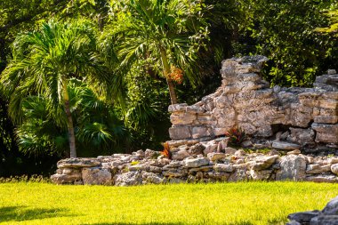 Xaman Ha Maya arkeolojik inşaat tapınakları Playacar Playa del Carmen Quintana Roo 'daki kireçtaşı kaya taşlarından yapılmış binalar..