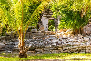 Xaman Ha Maya arkeolojik inşaat tapınakları Playacar Playa del Carmen Quintana Roo 'daki kireçtaşı kaya taşlarından yapılmış binalar..