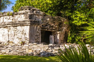 Xaman Ha Maya arkeolojik inşaat tapınakları Playacar Playa del Carmen Quintana Roo 'daki kireçtaşı kaya taşlarından yapılmış binalar..