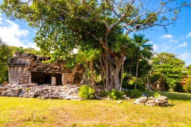 Xaman Ha Maya arkeolojik inşaat tapınakları Playacar Playa del Carmen Quintana Roo 'daki kireçtaşı kaya taşlarından yapılmış binalar..