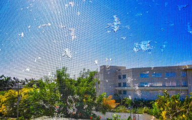 Playa del Carmen Quintana Roo 'nun camındaki sivrisinek ağı yırtılmış..