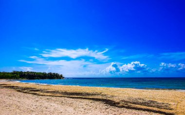 Playa del Carmen Quintana Roo Meksika 02. Temmuz 2024 Tropik Meksika Karayip plajı ve denizi Playa del Carmen Meksika 'daki turkuaz mavi sularda insanları güneşlendiriyor ve eğlendiriyor..