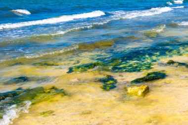 Playa del Carmen Quintana Roo Meksika 'daki tropik Karayip plajında turkuaz yeşil ve mavi sularda kayalar ve mercanlar..