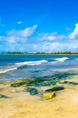 Playa del Carmen Quintana Roo Meksika 'daki tropik Karayip plajında turkuaz yeşil ve mavi sularda kayalar ve mercanlar..