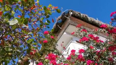 Dağlar, Panorama tepeleri kayalıklar ve tepe tropikal manzarayla Puerto Escondido Oaxaca 'daki kulübe oteli..