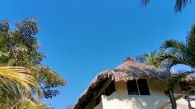 Palapa, Zicatela Puerto Escondido Oaxaca Meksika 'daki palmiye ağaçları arasında cennetteki otellerin ve binaların sazdan çatısı..