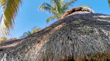 Palapa, Zicatela Puerto Escondido Oaxaca Meksika 'daki palmiye ağaçları arasında cennetteki otellerin ve binaların sazdan çatısı..