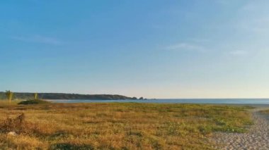 nature cliffs rocks meadow beach waves and palm trees in La Punta Zicatela Puerto Escondido Oaxaca Mexico.