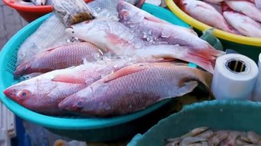 Zicatela Puerto Escondido Oaxaca Meksika 'da taze balık yakalamış..