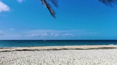Playa del Carmen Quintana Roo Meksika 'da berrak turkuaz mavi su ve palmiye ağaçları ile tropik Meksika Karayip sahili manzarası.