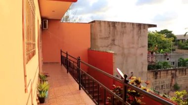 Playa del Carmen Quintana Roo Meksika 'daki tropikal sokak palmiyeleri ve şehir manzaralı balkon terasından manzara.
