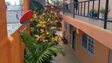 Playa del Carmen Quintana Roo Meksika 04. Mayıs 2021 Balkon Terası 'ndan Playa del Carmen Quintana Roo Mexico' daki tropik sokak palmiye ağaçları ve şehir manzarası.