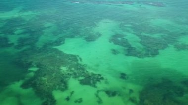 Mercan resifi Palancar deniz manzarası ve turkuaz yeşil ve mavi su ile Karayip deniz manzarası Playa del Carmen Quintana Roo Meksika 'da dalgalar.