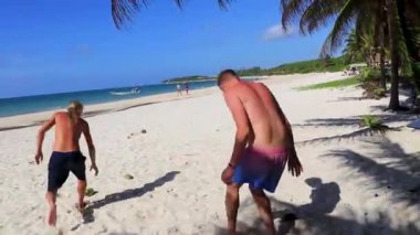 Playa del Carmen Quintana Roo Meksika 'daki palmiye ağaçlarıyla kumsala hindistan cevizi atarlar..