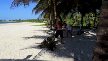 Playa del Carmen Quintana Roo Meksika 'daki palmiye ağaçlarıyla kumsala hindistan cevizi atarlar..
