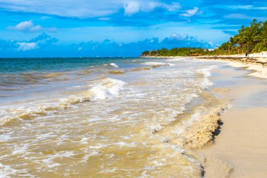 Berrak turkuvaz mavi su ve Playa del Carmen Meksika 'da büyük dalgalar ile çarpıcı tropik Meksika Karayip plajı ve deniz manzarası manzarası.