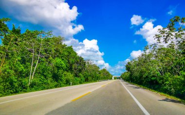 Otoyol otobanında Playa del Carmen Quintana Roo Mexico 'daki tropikal ormandan geçerken..