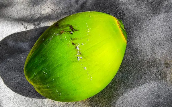 Playa del Carmen Quintana Roo Meksika 'daki Karayip sahilinde hindistan cevizi.