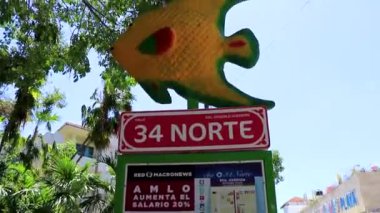 Playa del Carmen Quintana Roo Meksika 'da deniz hayvanlarıyla dolu bir sokak tabelası..
