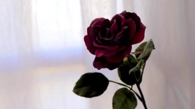 Playa del Carmen Quintana Roo Meksika 'da bir vazoda parıldayan kırmızı yapay gül..