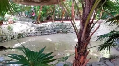 Playa del Carmen Quintana Roo Mexico 'daki La Ceiba parkındaki mağara gölü..