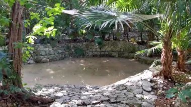 Playa del Carmen Quintana Roo Mexico 'daki La Ceiba parkındaki mağara gölü..