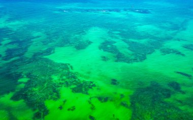 Mercan resifi Palancar deniz manzarası ve turkuaz yeşil ve mavi su ile Karayip deniz manzarası Playa del Carmen Quintana Roo Meksika 'da dalgalar.